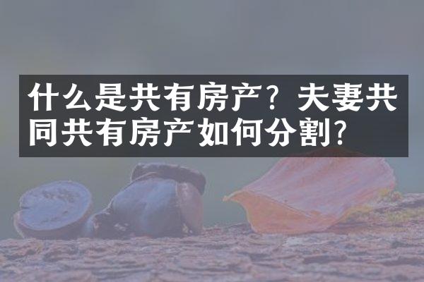 什么是共有房产？夫妻共同共有房产如何分割？