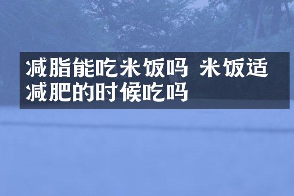 减脂能吃米饭吗 米饭适合减肥的时候吃吗