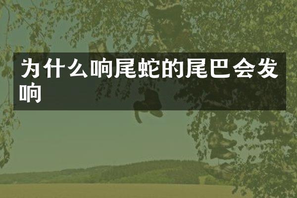 为什么响尾蛇的尾巴会发响