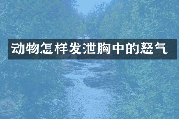 动物怎样发泄胸中的怒气