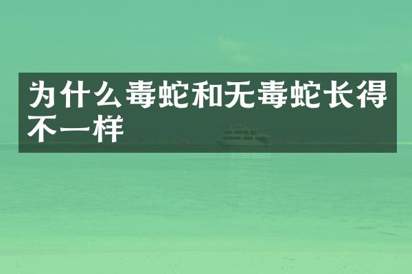 为什么毒蛇和无毒蛇长得不一样