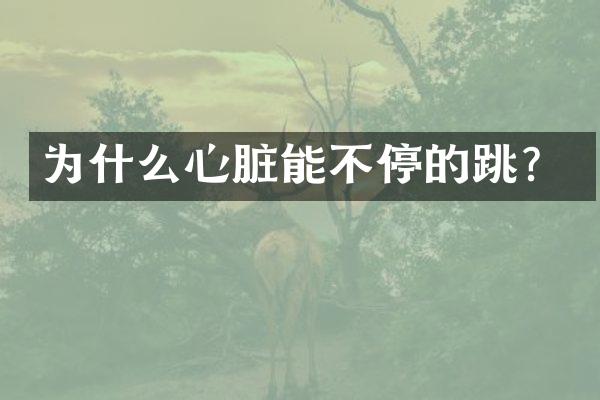 为什么心脏能不停的跳？