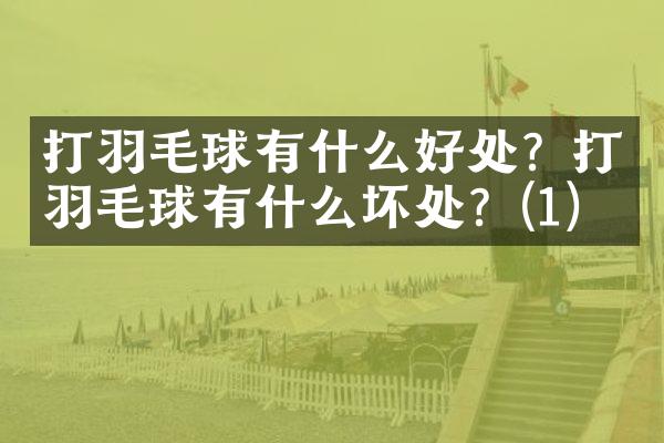 打羽毛球有什么好处？打羽毛球有什么坏处？(1)