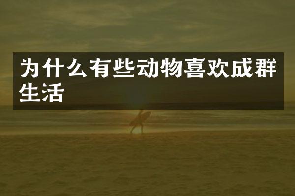 为什么有些动物喜欢成群生活
