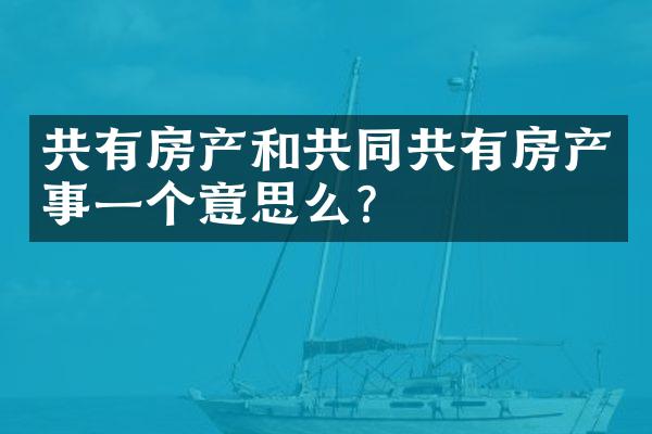 共有房产和共同共有房产事一个意思么？