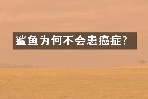 鲨鱼为何不会患癌症？