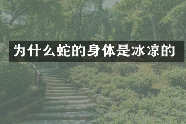 为什么蛇的身体是冰凉的