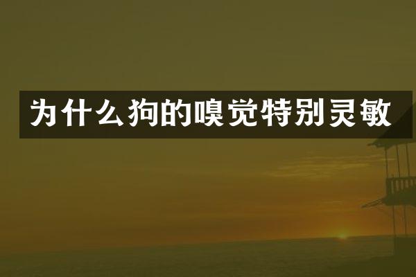 为什么狗的嗅觉特别灵敏
