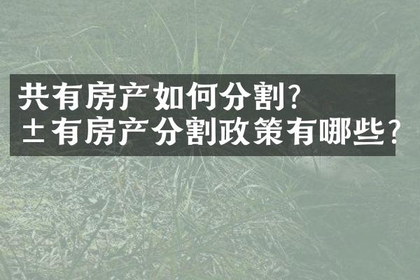 ﻿﻿共有房产如何分割?共有房产分割政策有哪些?