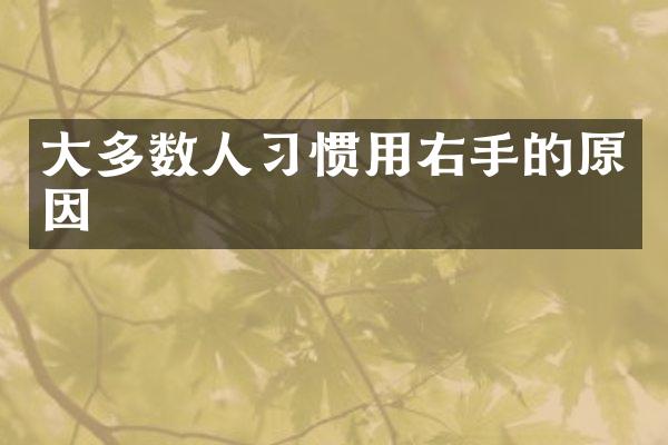 大多数人习惯用右手的原因