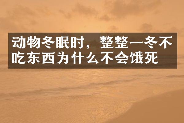 动物冬眠时，整整一冬不吃东西为什么不会饿死