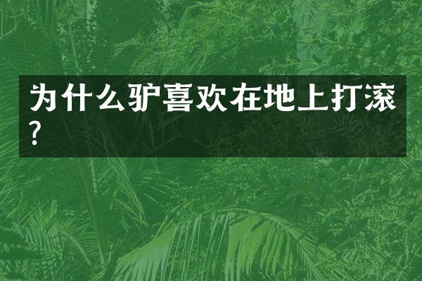 为什么驴喜欢在地上打滚?