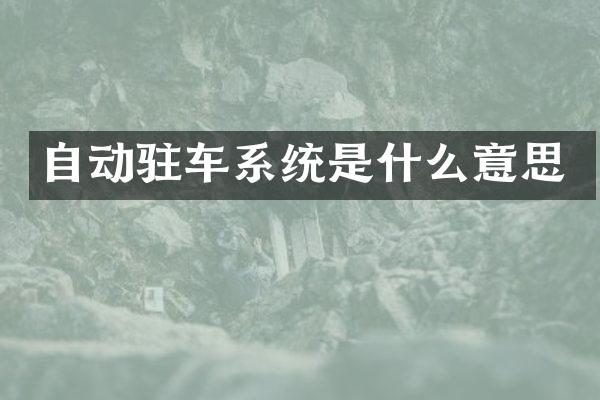 自动驻车系统是什么意思