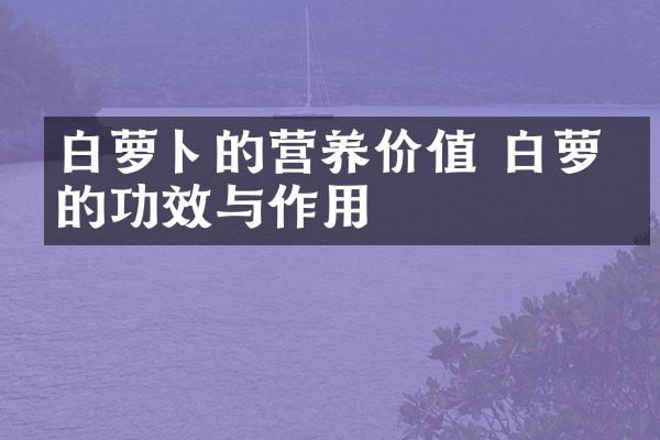 白萝卜的营养价值 白萝卜的功效与作用