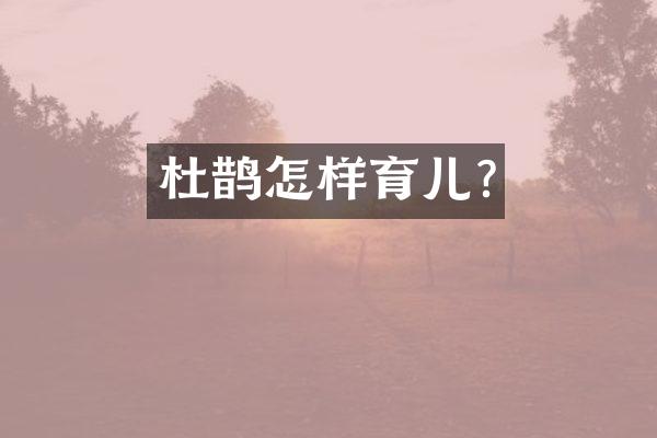 杜鹊怎样育儿?