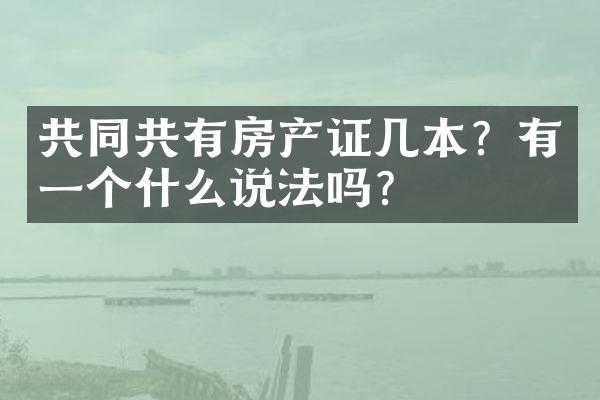 共同共有房产证几本？有一个什么说法吗？