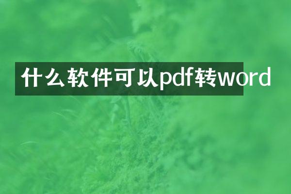 什么软件可以pdf转word