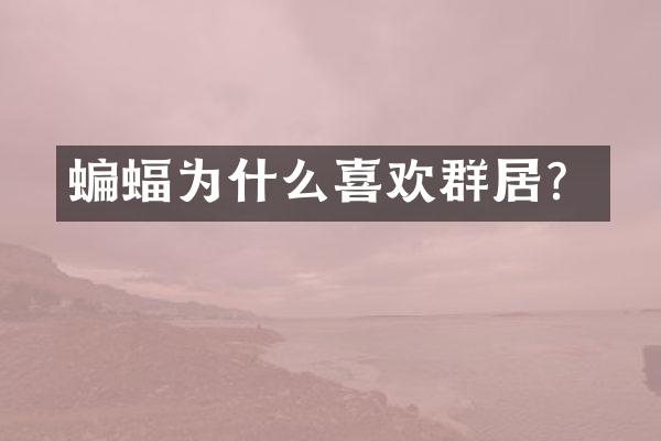 蝙蝠为什么喜欢群居？