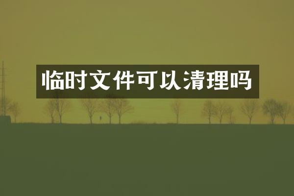 临时文件可以清理吗
