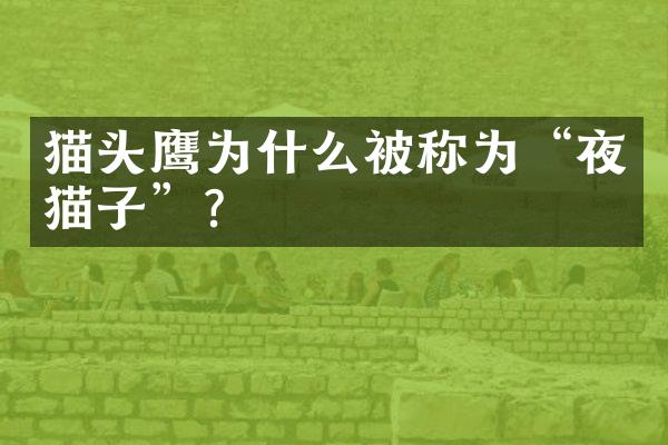 猫头鹰为什么被称为“夜猫子”？