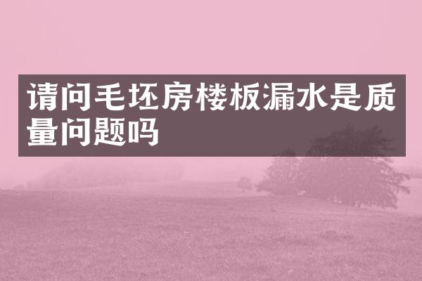 请问毛坯房楼板漏水是质量问题吗