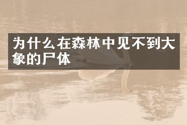 为什么在森林中见不到大象的尸体