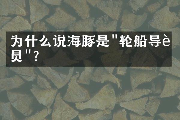 为什么说海豚是"轮船导航员"？