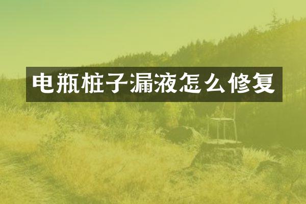 电瓶桩子漏液怎么修复
