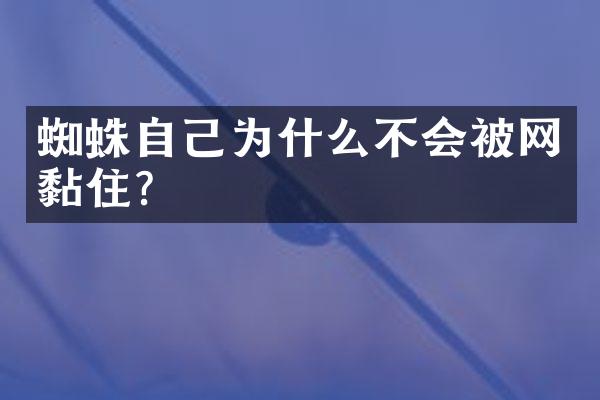 蜘蛛自己为什么不会被网黏住？
