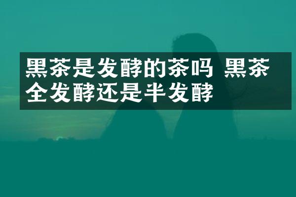 黑茶是发酵的茶吗 黑茶是全发酵还是半发酵