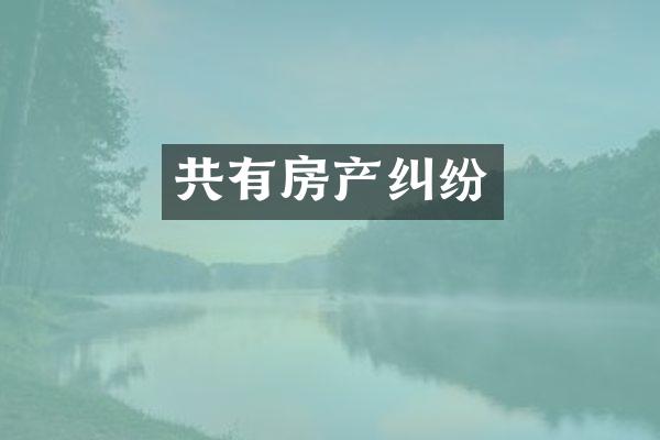 共有房产纠纷