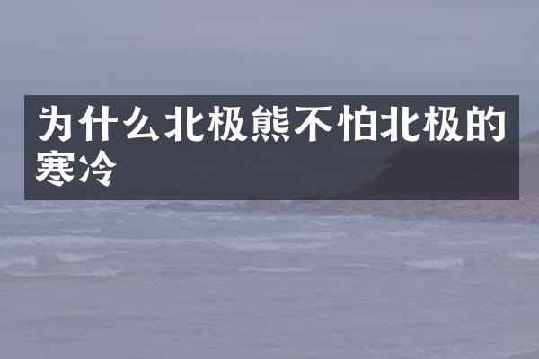 为什么北极熊不怕北极的寒冷