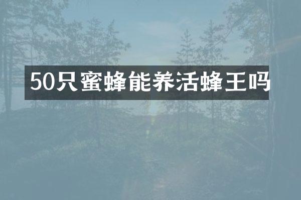 50只蜜蜂能养活蜂王吗