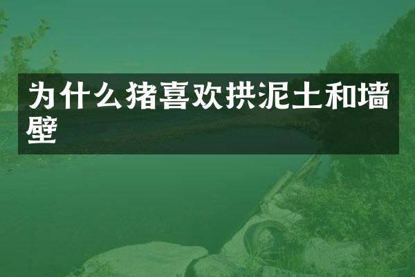 为什么猪喜欢拱泥土和墙壁