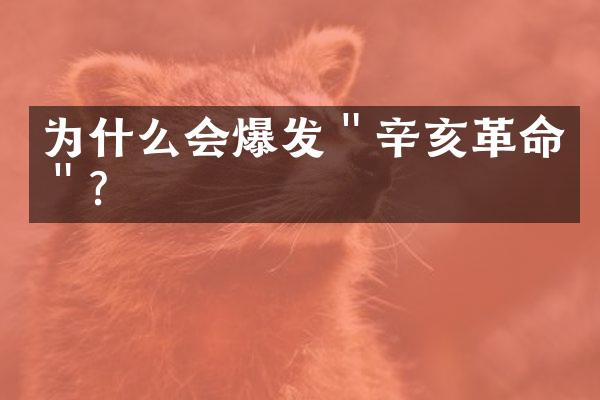 为什么会爆发＂辛亥革命＂？