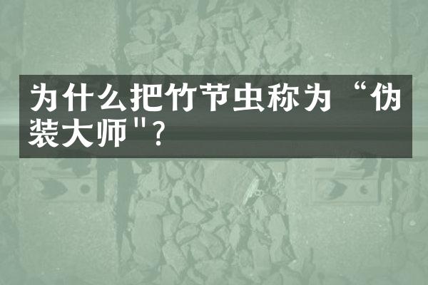 为什么把竹节虫称为“伪装大师"？