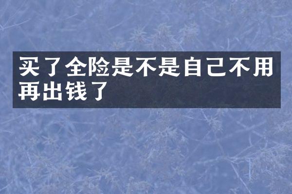 买了全险是不是自己不用再出钱了