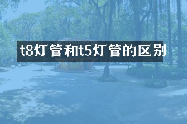 t8灯管和t5灯管的区别