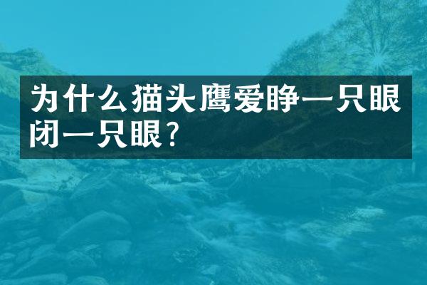 为什么猫头鹰爱睁一只眼闭一只眼？