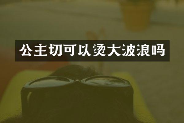 公主切可以烫大波浪吗