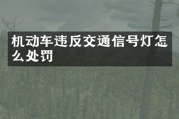 机动车违反交通信号灯怎么处罚