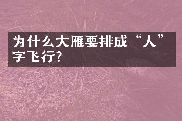 为什么大雁要排成“人”字飞行？
