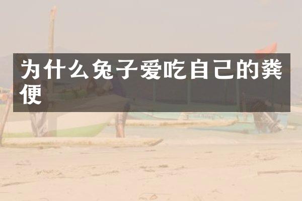 为什么兔子爱吃自己的粪便
