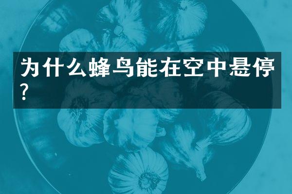 为什么蜂鸟能在空中悬停?