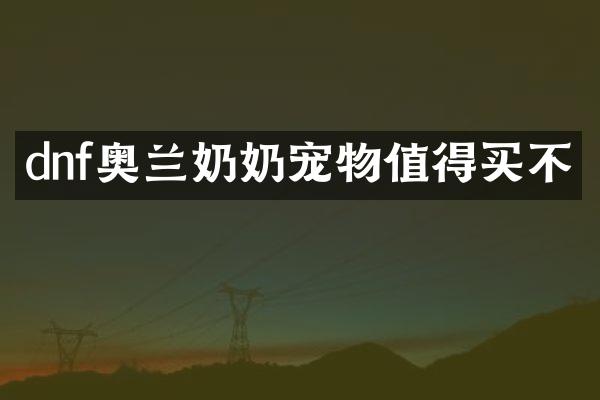 dnf奥兰奶奶宠物值得买不