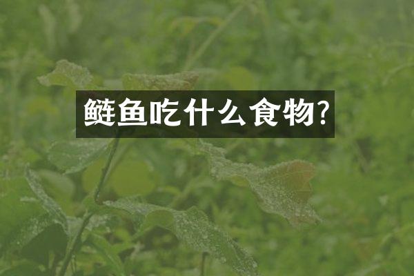 鲢鱼吃什么食物?