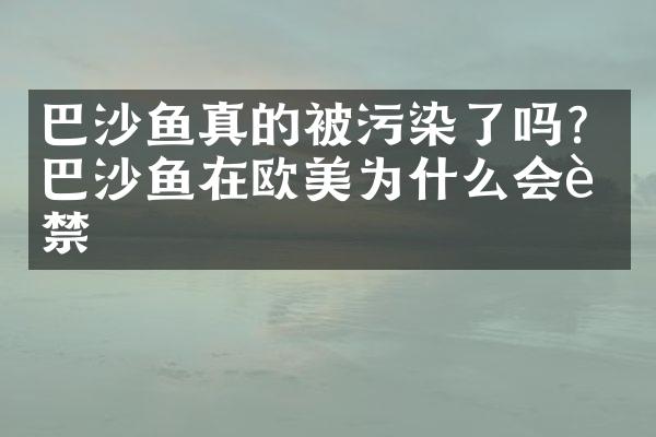 巴沙鱼真的被污染了吗？巴沙鱼在欧美为什么会被禁