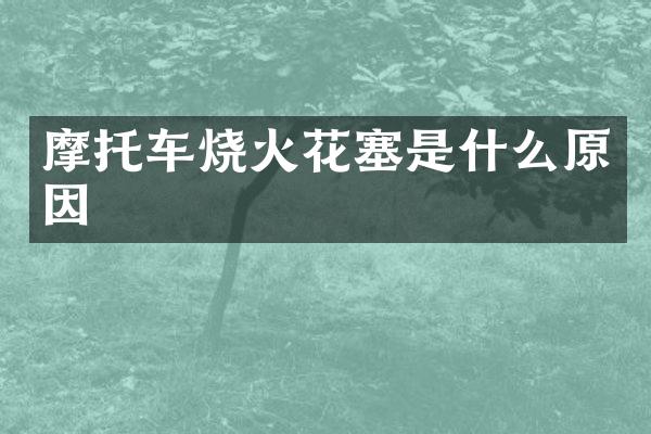 摩托车烧火花塞是什么原因