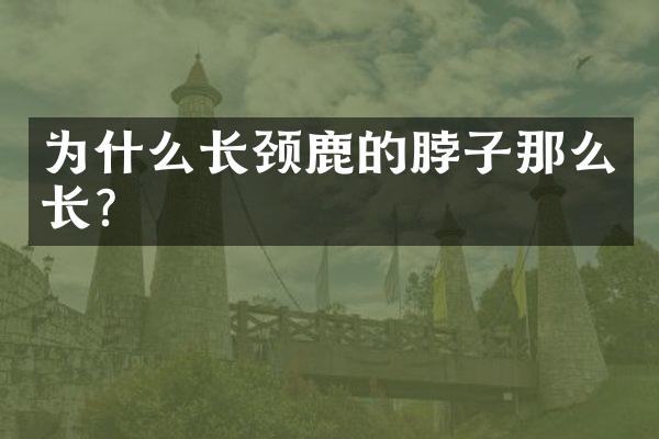 为什么长颈鹿的脖子那么长?