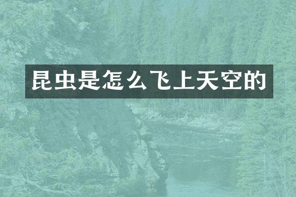 昆虫是怎么飞上天空的